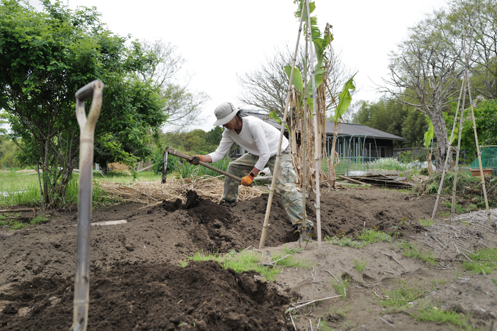 夏野菜の準備　小屋横の区画を整える