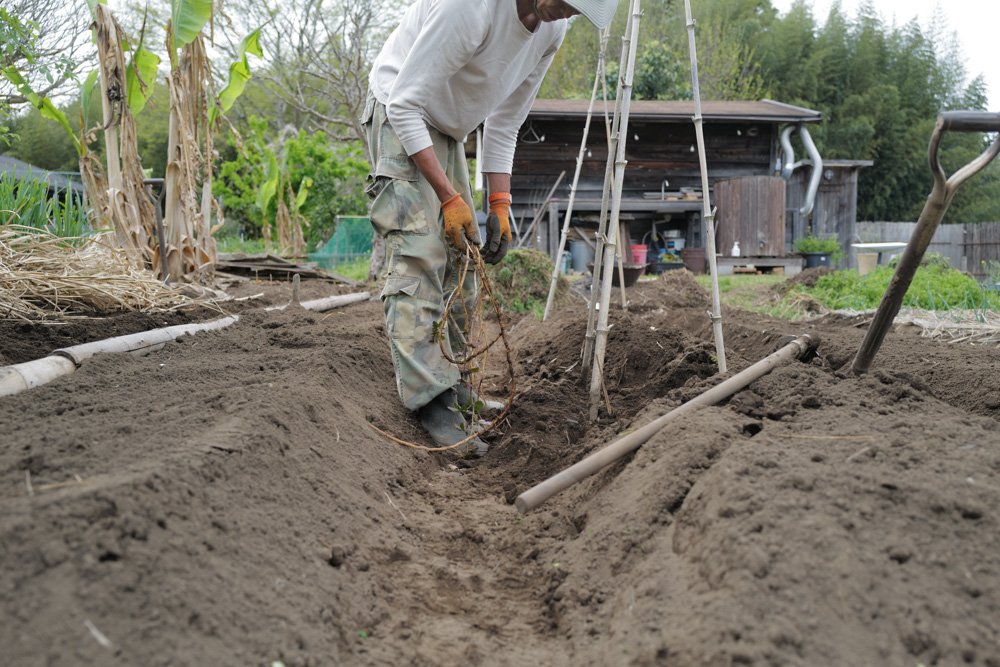夏野菜の準備　小屋横の区画を整える