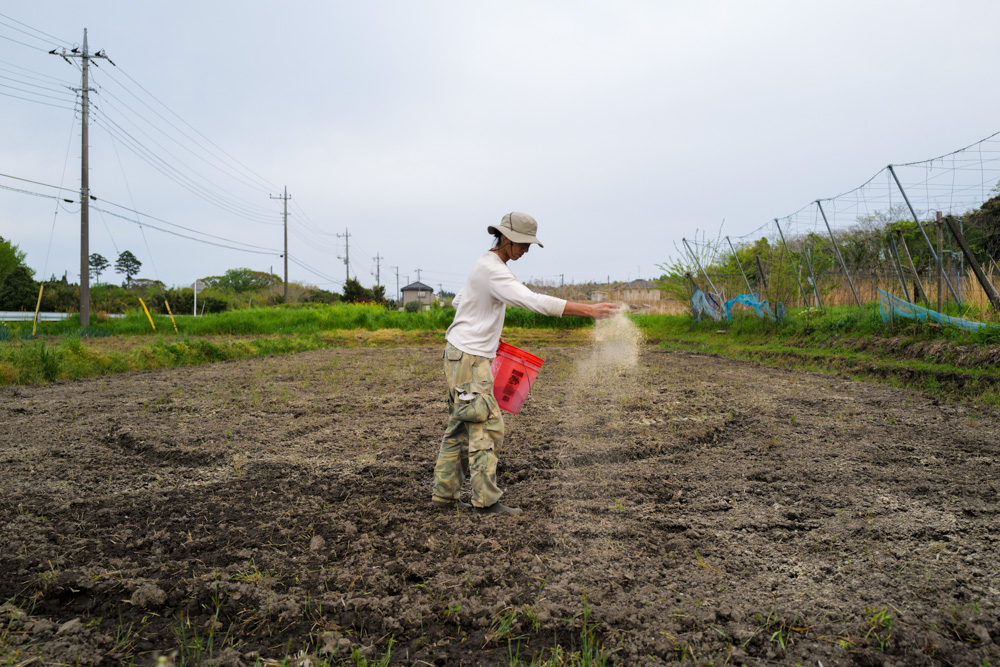 夏野菜の準備　小屋横の区画を整える