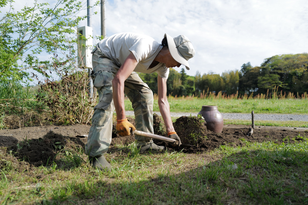 田んぼに植えた芭蕉の移植