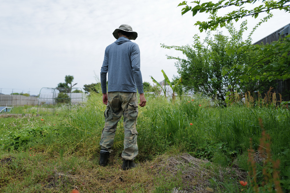 ニンニク区画の雑草取り