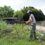 春土用の間日に野良仕事　残渣を燃やす、耕起、草刈り、ズッキーニ、イタリアントマトの苗を植える