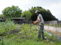 春土用の間日に野良仕事　残渣を燃やす、耕起、草刈り、ズッキーニ、イタリアントマトの苗を植える