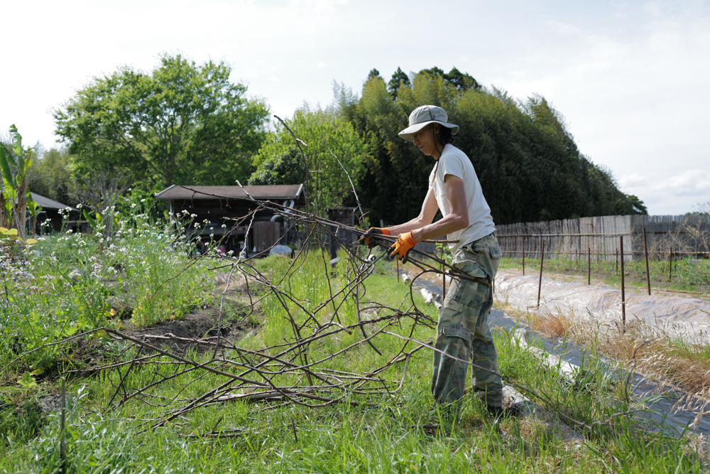 春土用の間日に野良仕事　残渣を燃やす、耕起、草刈り、ズッキーニ、イタリアントマトの苗を植える