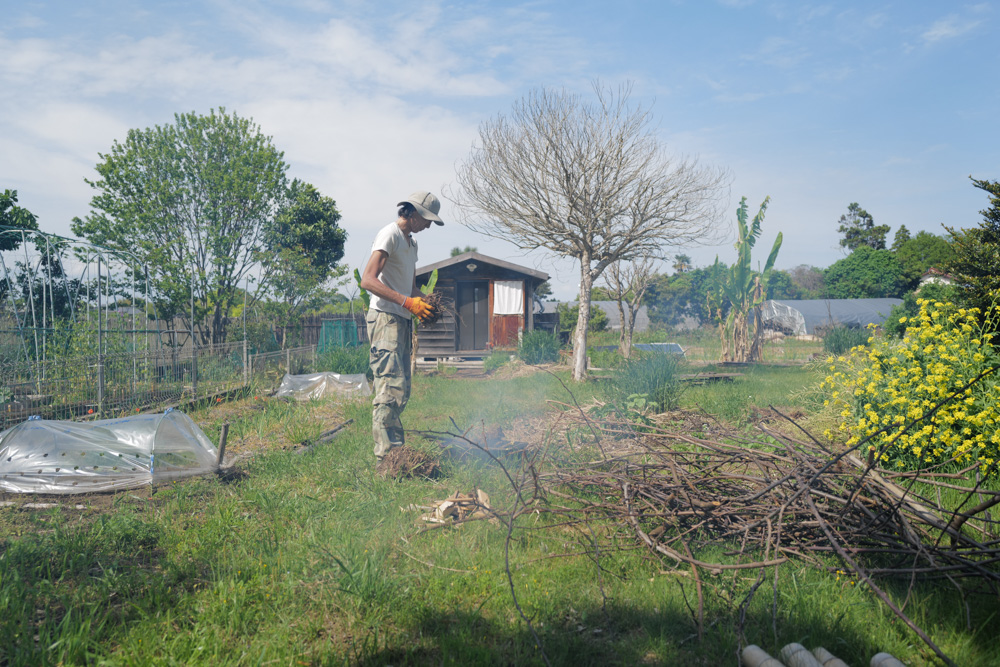 春土用の間日に野良仕事　残渣を燃やす、耕起、草刈り、ズッキーニ、イタリアントマトの苗を植える