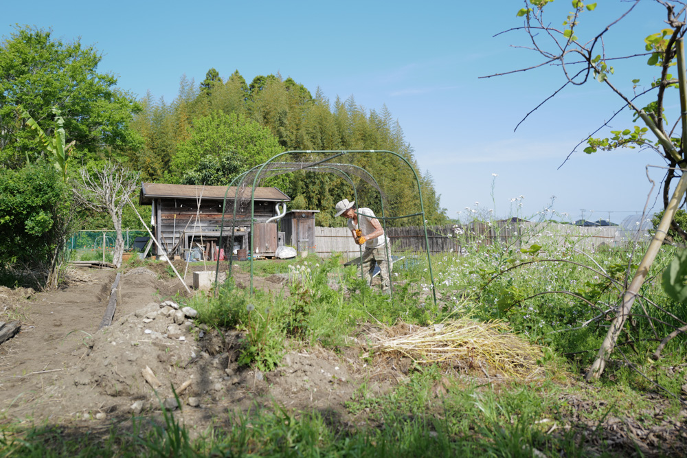 春土用の間日に野良仕事　残渣を燃やす、耕起、草刈り、ズッキーニ、イタリアントマトの苗を植える