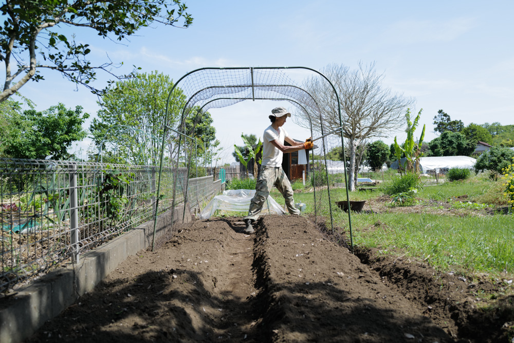 春土用の間日に野良仕事　残渣を燃やす、耕起、草刈り、ズッキーニ、イタリアントマトの苗を植える