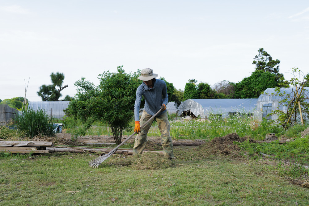 春土用の間日に野良仕事　残渣を燃やす、耕起、草刈り、ズッキーニ、イタリアントマトの苗を植える