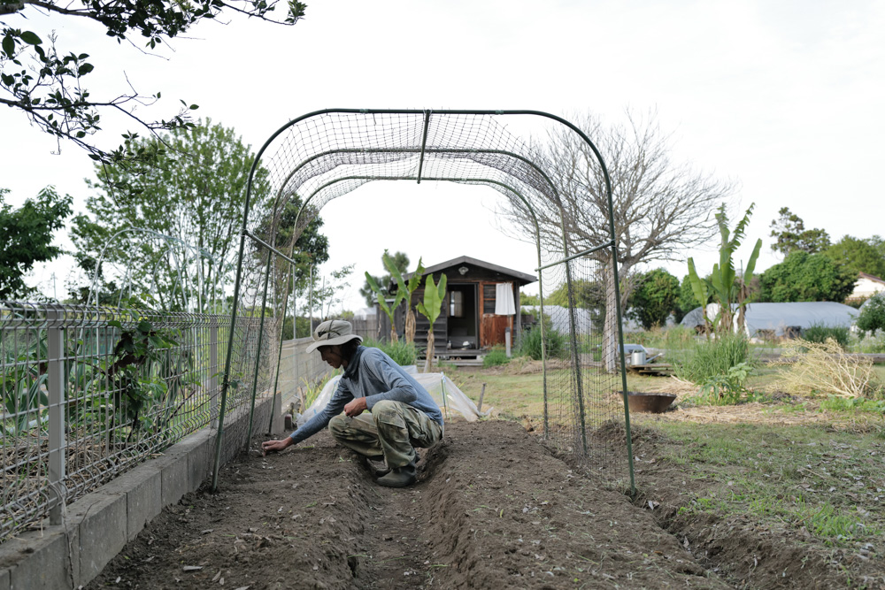 春土用の間日に野良仕事　残渣を燃やす、耕起、草刈り、ズッキーニ、イタリアントマトの苗を植える