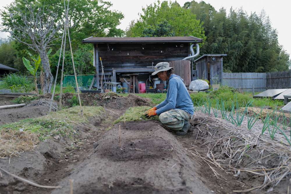 春土用の間日に野良仕事　残渣を燃やす、耕起、草刈り、ズッキーニ、イタリアントマトの苗を植える
