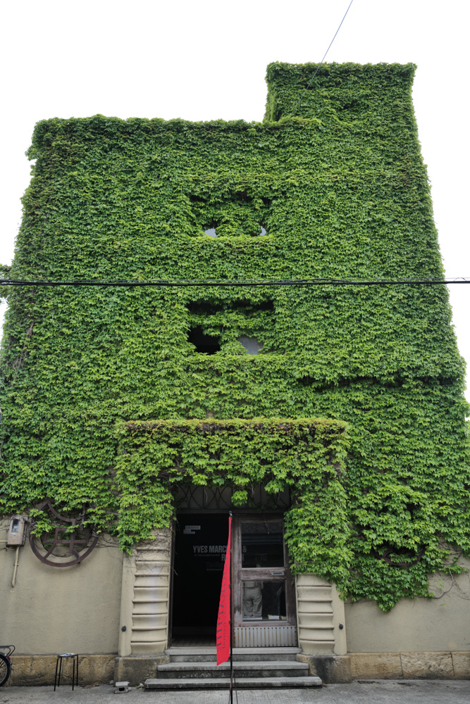 蔦の絡まる昭和モダン建築 京都 重信会館とKYOTOGRAPHIE 2026「残されるもののかたち」