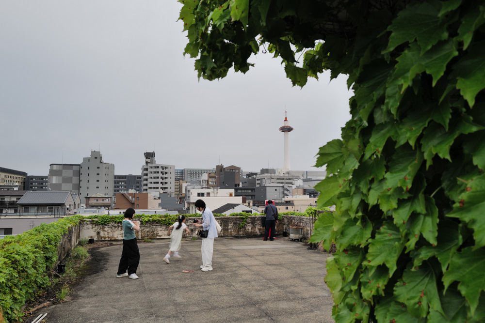 蔦の絡まる昭和モダン建築 京都 重信会館とKYOTOGRAPHIE 2026「残されるもののかたち」