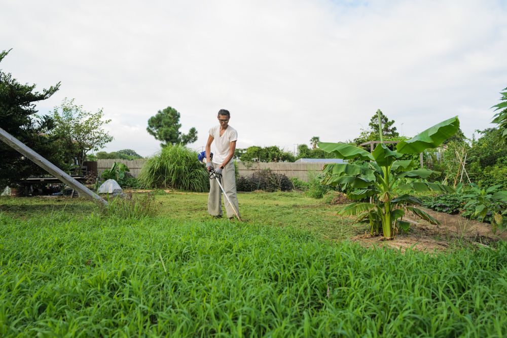 草刈機のチップソーにナイロンコードをつけて草を刈ってみる　収穫直前の田んぼと房総フィールドの草刈り