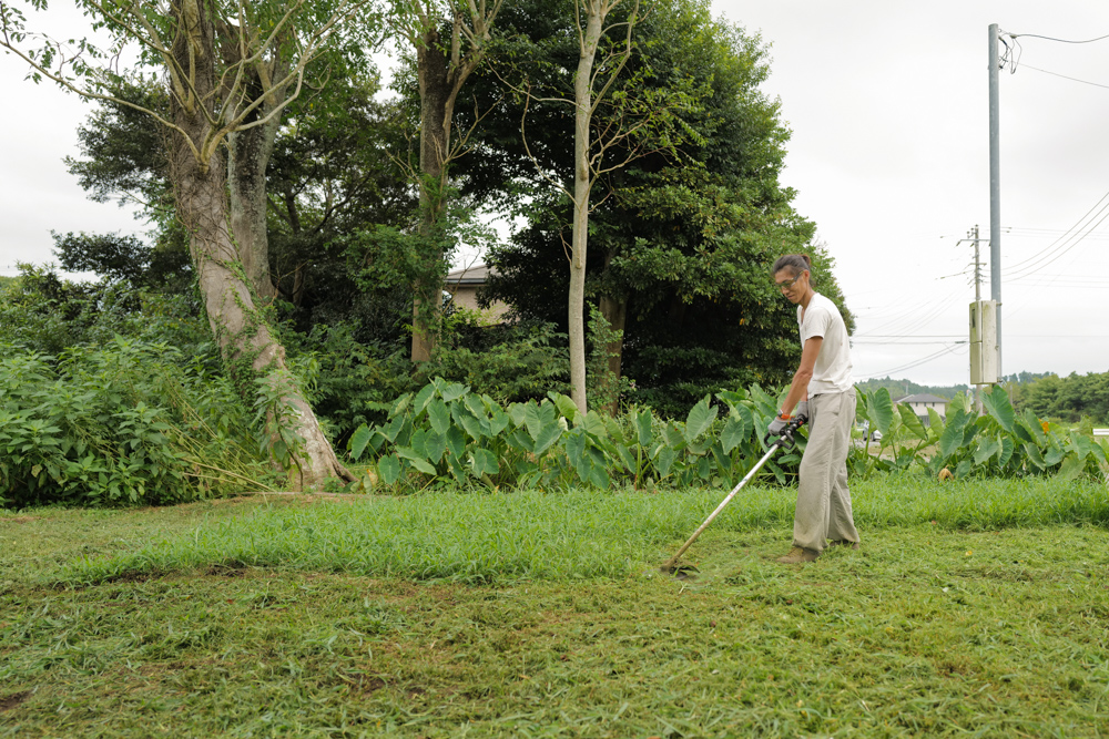 草刈機のチップソーにナイロンコードをつけて草を刈ってみる　収穫直前の田んぼと房総フィールドの草刈り