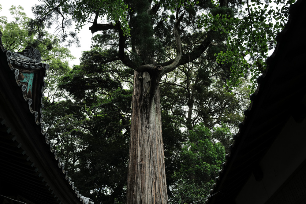 事任八幡宮