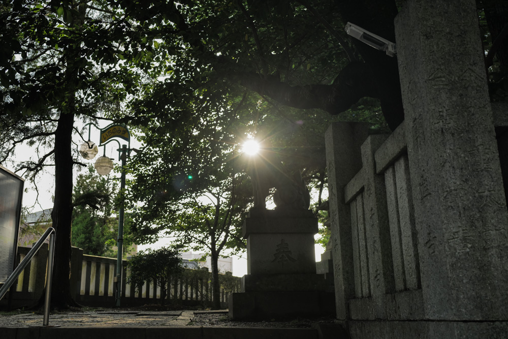 2026 夏至、場を整えるタイミング　夏越の大掃除