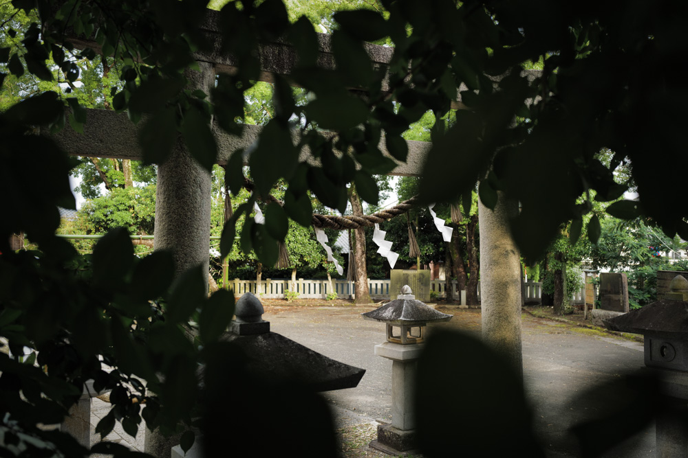 2026 夏至、場を整えるタイミング 夏越の大掃除