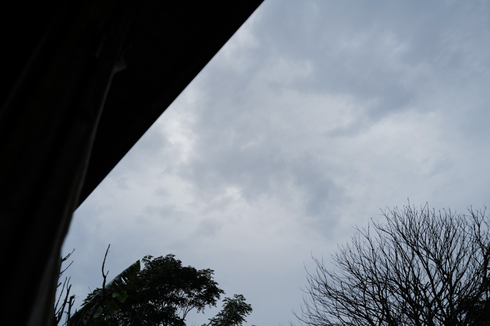 台風の後