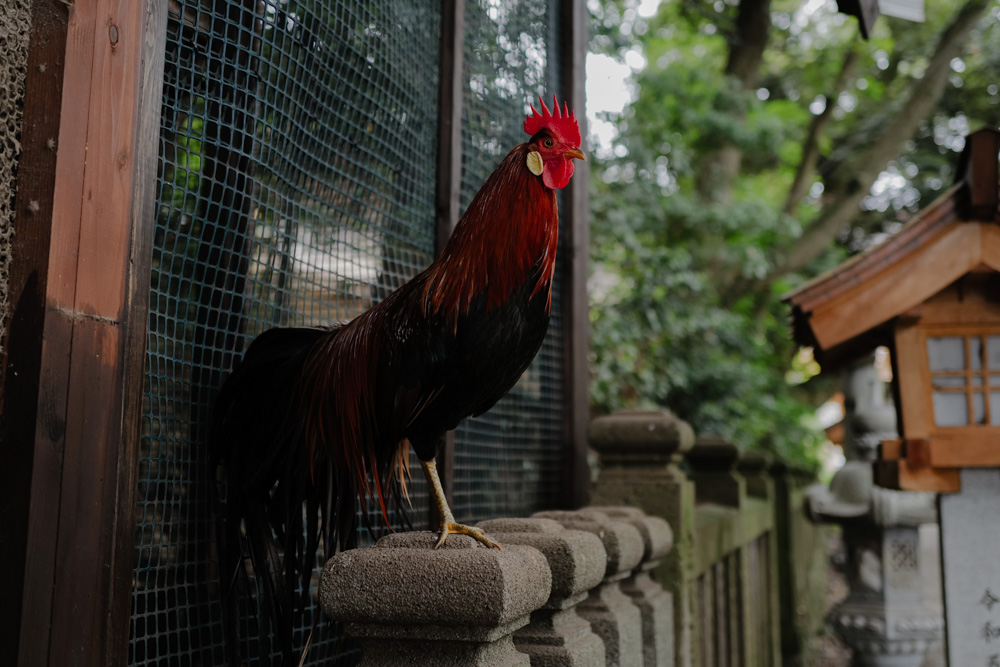 封印された星の神 天香香背男を祀る神社、茨城県 日立市 大甕神社へ