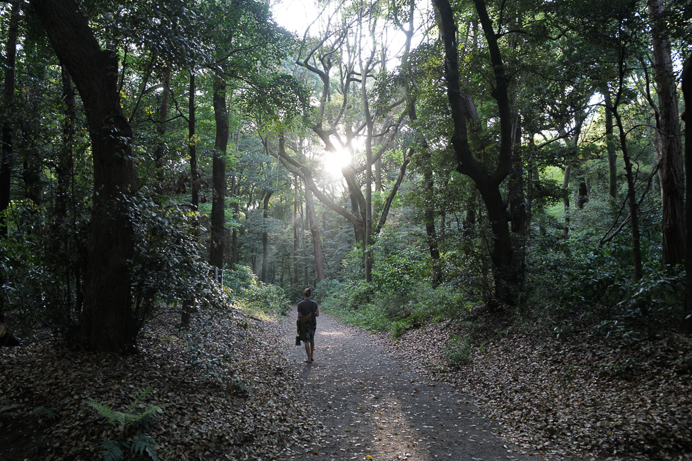 新宿から代々木を抜けて青山までお散歩　WOLFGANG TILLMANS / MOMENTS OF LIFE @ ESPACE LOUIS VUITTON TOKYO　世界がメタバースになる前にリアルワールドを楽しんでおこう！