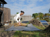 「知ってる」と「出来る」の間には大きなギャップがある　なぜ食べもしない小麦を作り続けるのか？！