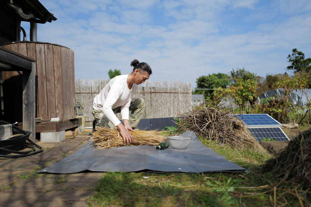 「知ってる」と「出来る」の間には大きなギャップがある　なぜ食べもしない小麦を作り続けるのか？！