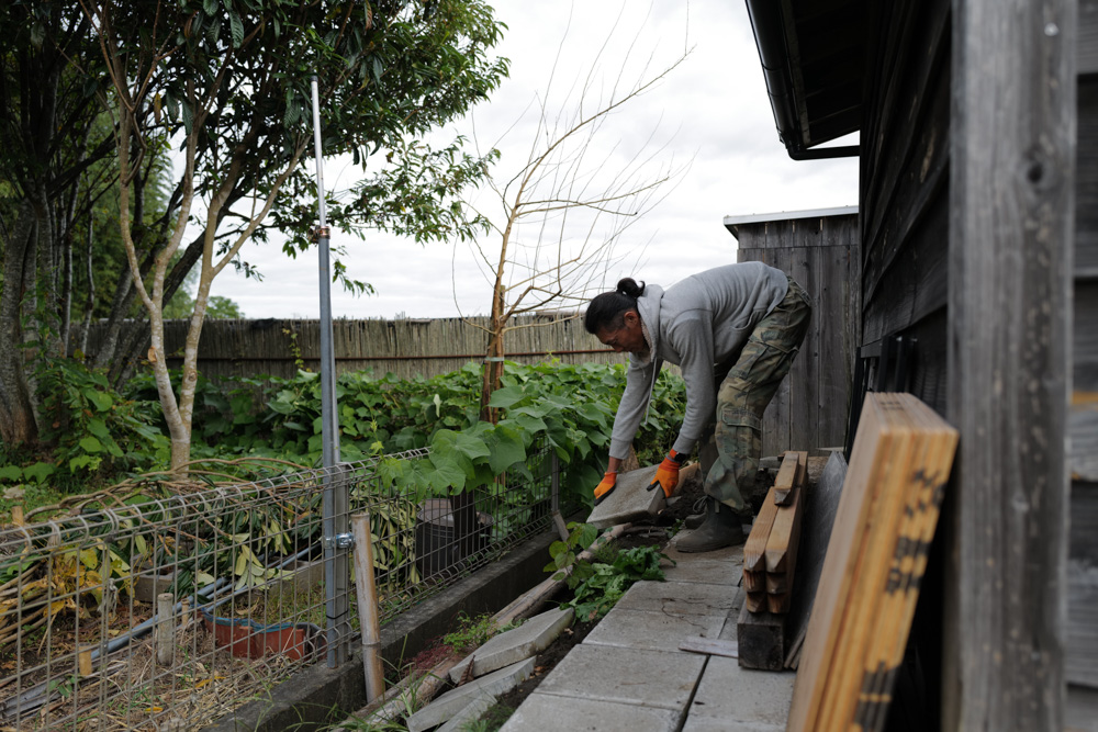 小屋の土留め補修と生姜の収穫