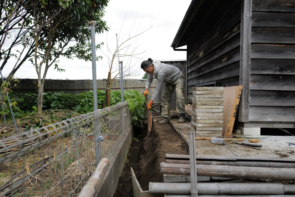 小屋の土留め補修と生姜の収穫