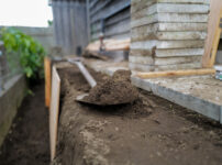 小屋の土留め補修と生姜の収穫
