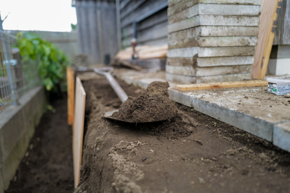 小屋の土留め補修と生姜の収穫