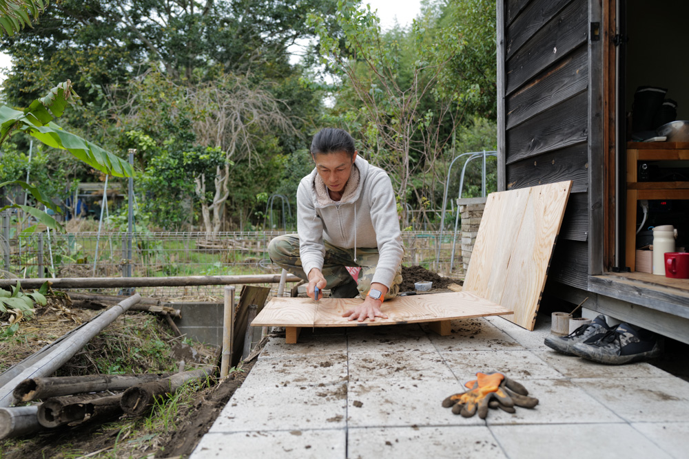 小屋の土留め補修と生姜の収穫