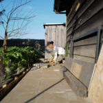 徐々に整う房総フィールド　小屋の土留め補修完了＋夏野菜の撤去