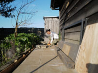 徐々に整う房総フィールド　小屋の土留め補修完了＋夏野菜の撤去
