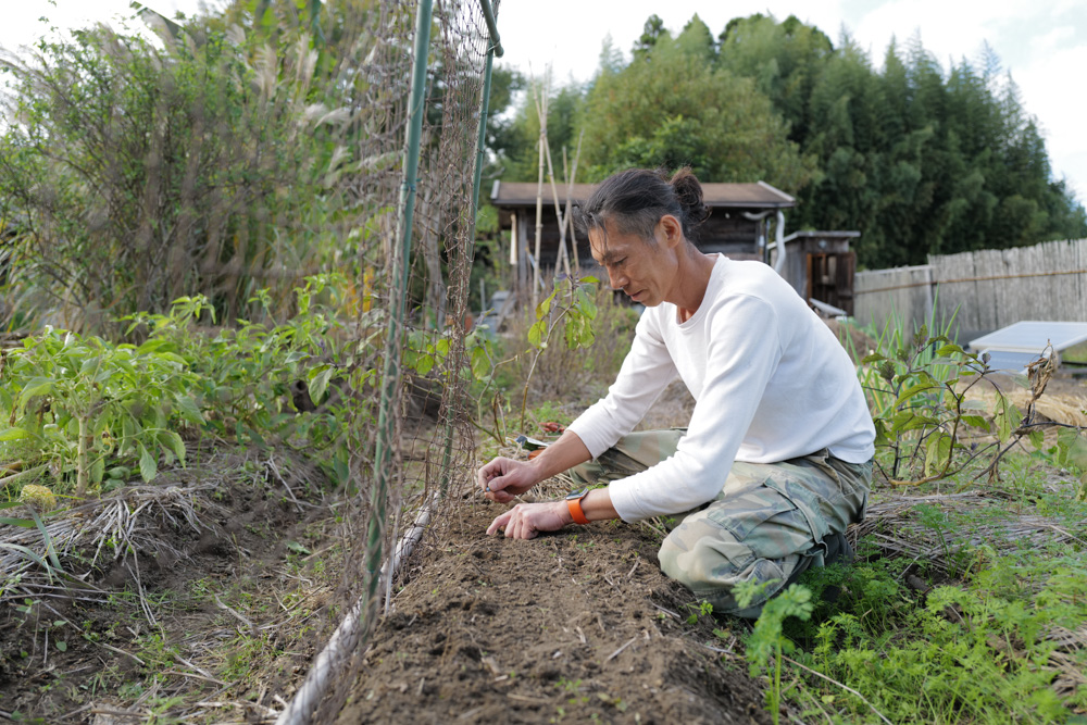 徐々に整う房総フィールド 小屋の土留め補修完了+夏野菜の撤去