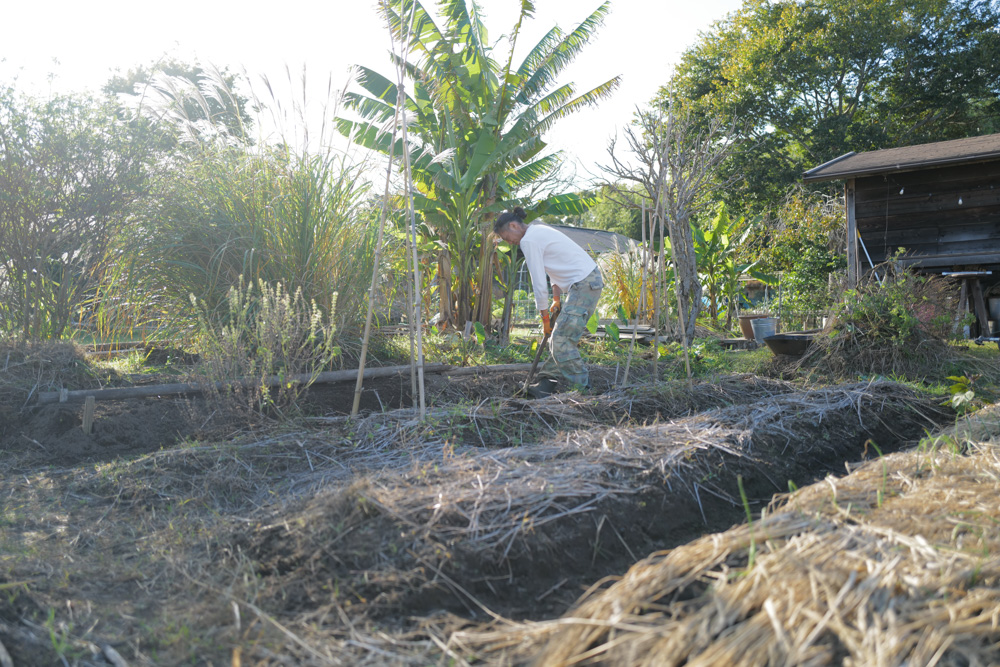 徐々に整う房総フィールド 小屋の土留め補修完了+夏野菜の撤去