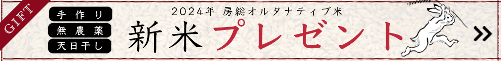 房総オルタナティブ米プレゼント2024