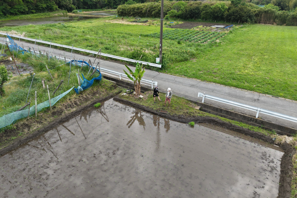 2025年 房総オルタナティブ米　田植え DAY2