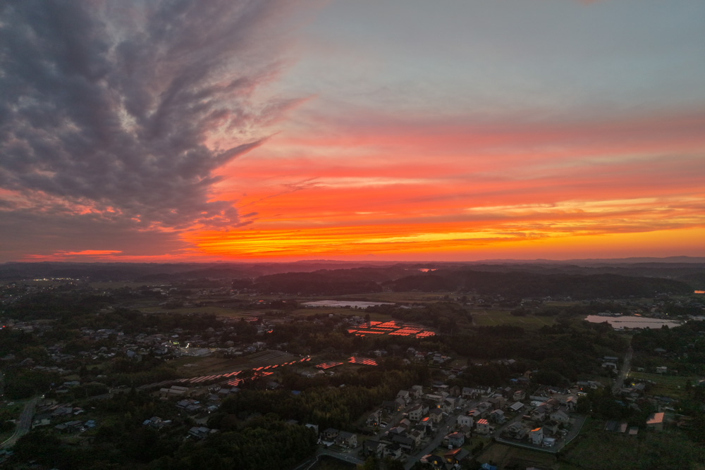 レモン彗星見れた! 1350年周期でやってくるレモン彗星 C/2025 A6