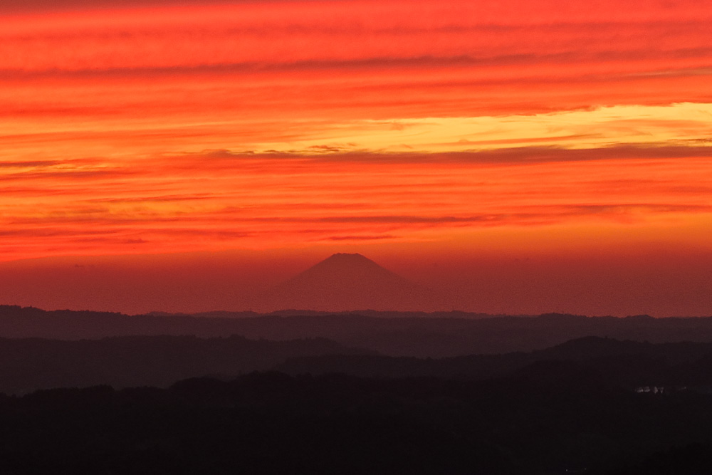 レモン彗星見れた! 1350年周期でやってくるレモン彗星 C/2025 A6