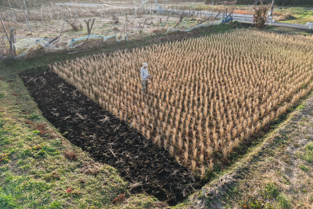 2025年冬至、野良始めは田起こしから