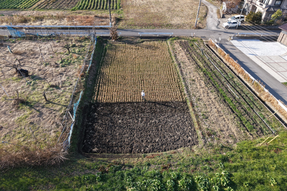 2025年大晦日　創られたこの世を想いながら田起こし DAY4