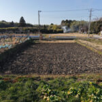 土用入り、内発的動機に基づく行動がリンクするところ　田んぼのゴミを拾いながら田起こし DAY10