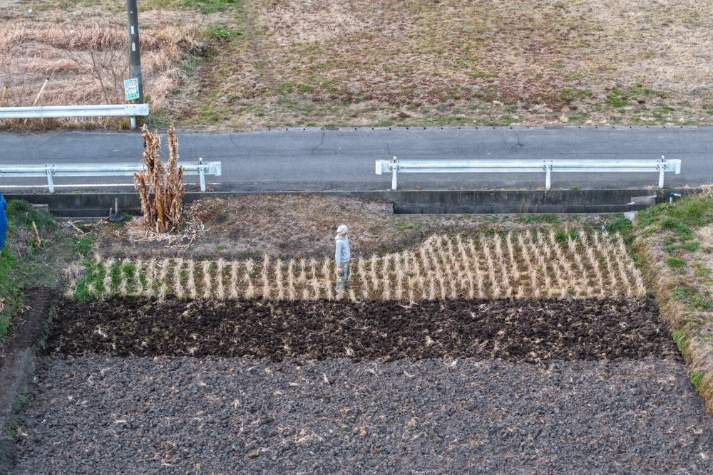 いよいよラストスパートへ! 田起こし DAY11