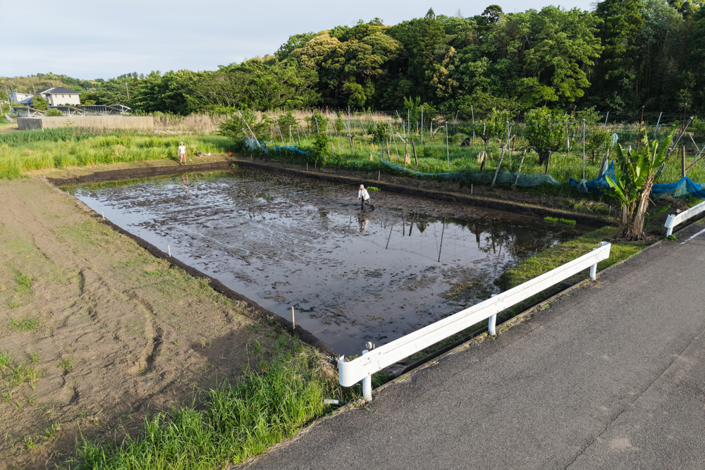 房総オルタナティブ米2026　田植えDAY1