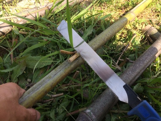 竹垣用の竹をカット