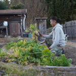 地球はメリーゴーラウンド　零れ種から勝手に育った野菜たち