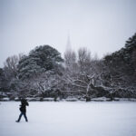雪の東京　新宿御苑雪模様