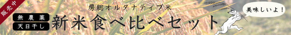 2025年房総オルタナティブ米食べ比べセット